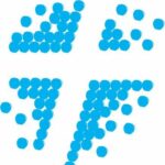 Tallahassee First COTN